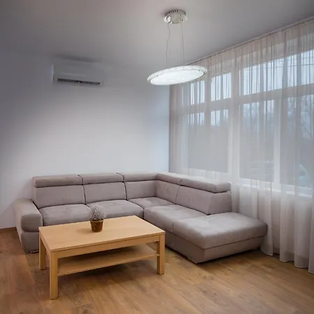 Deluxe Apartment *